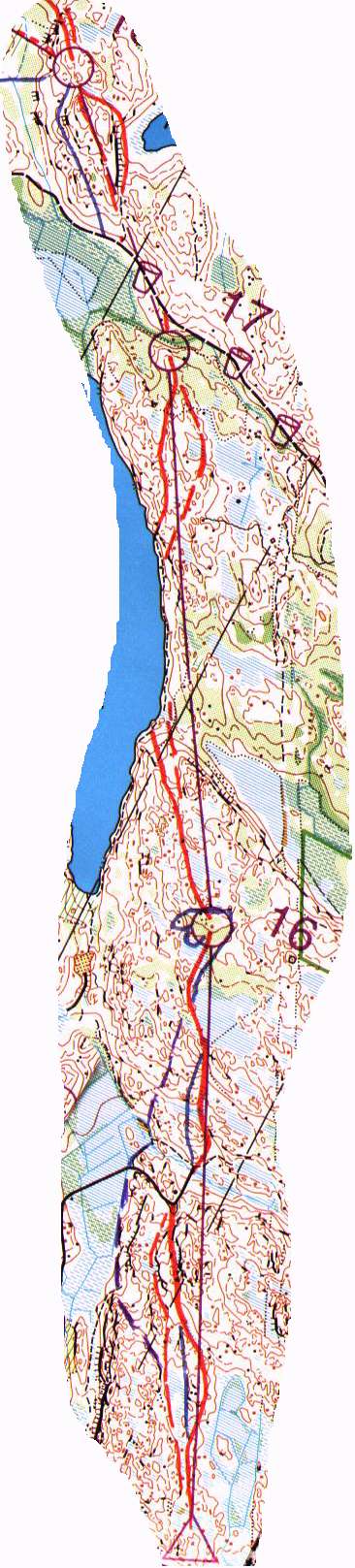 H21  15-17 n. 120 kt